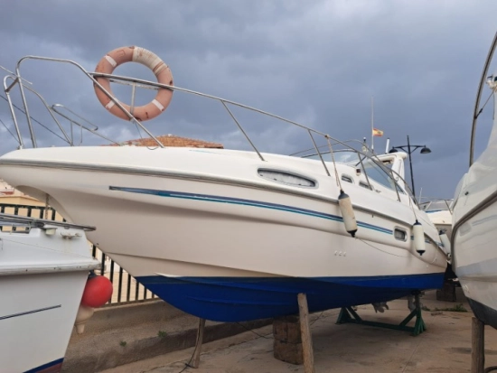 Sealine S28 Sports Cruiser de segunda mano en venta