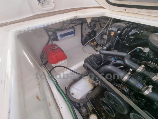 Sealine S24 usata in vendita
