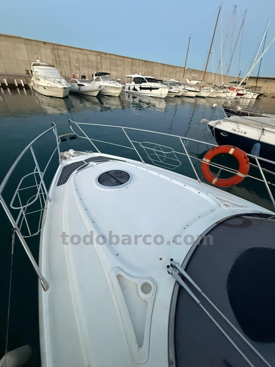 Cranchi Endurance 33 usata in vendita