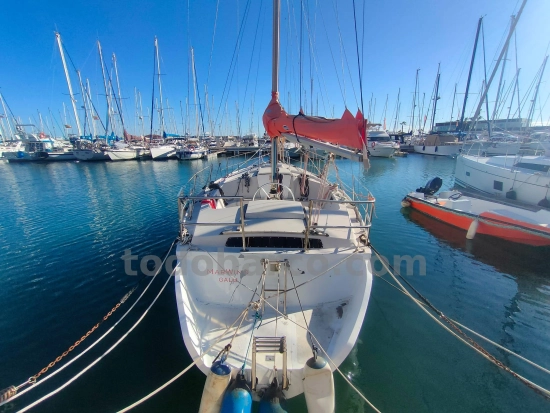 Jeanneau Gin Fizz Ketch 37 usata in vendita