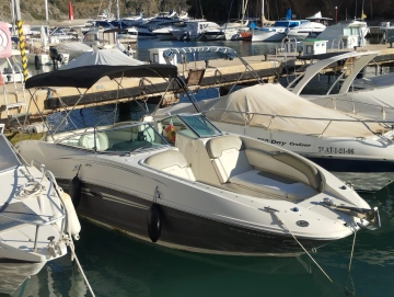 Sea Ray Sundeck 260 usado à venda