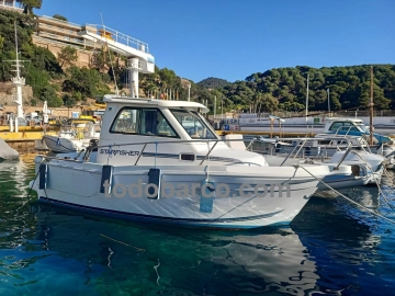 Starfisher 670 usata in vendita
