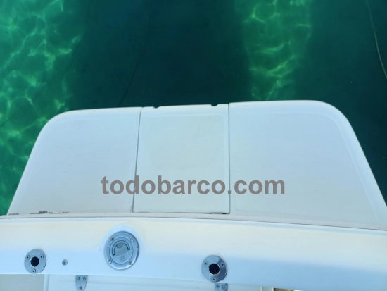 Starfisher 670 de segunda mano en venta