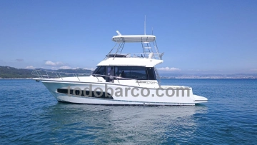 Rodman 1290 Evolution de segunda mano en venta