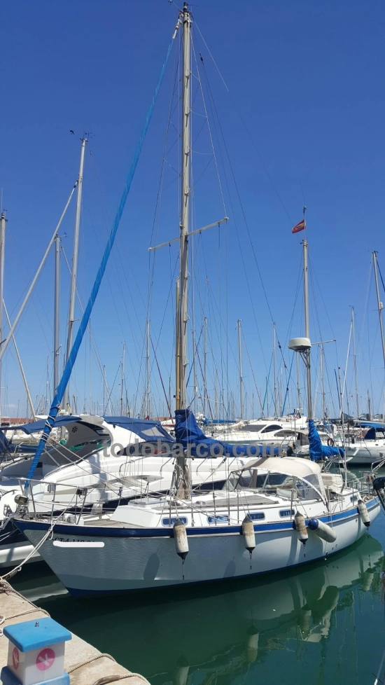 Trimarchi TRINTELLA 36 usado à venda