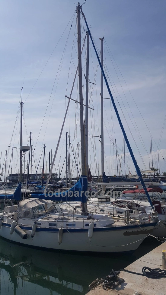 Trimarchi TRINTELLA 36 preowned for sale