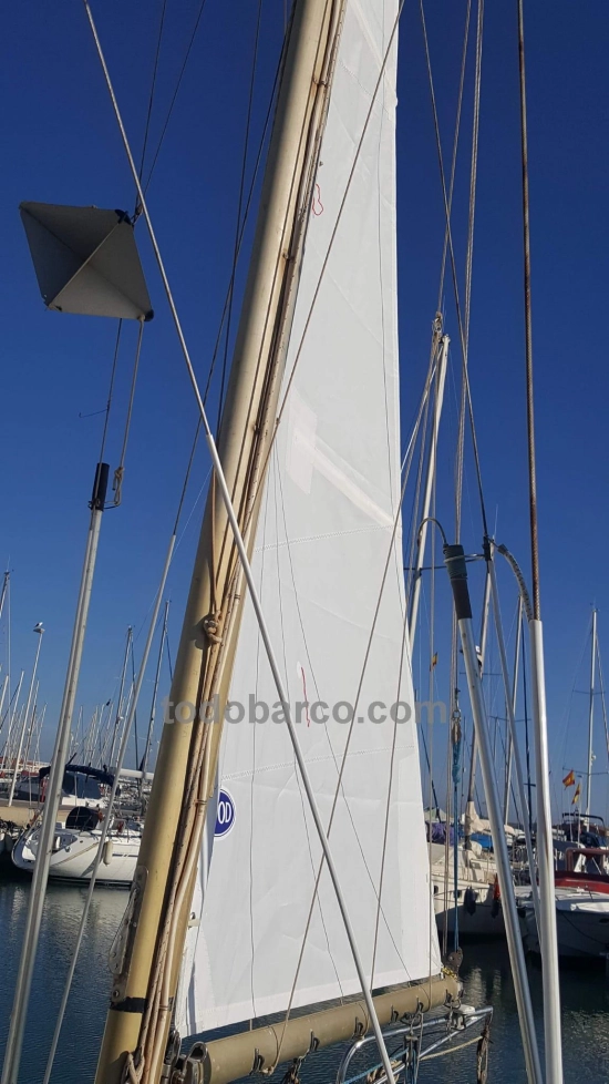 Trimarchi TRINTELLA 36 usado à venda