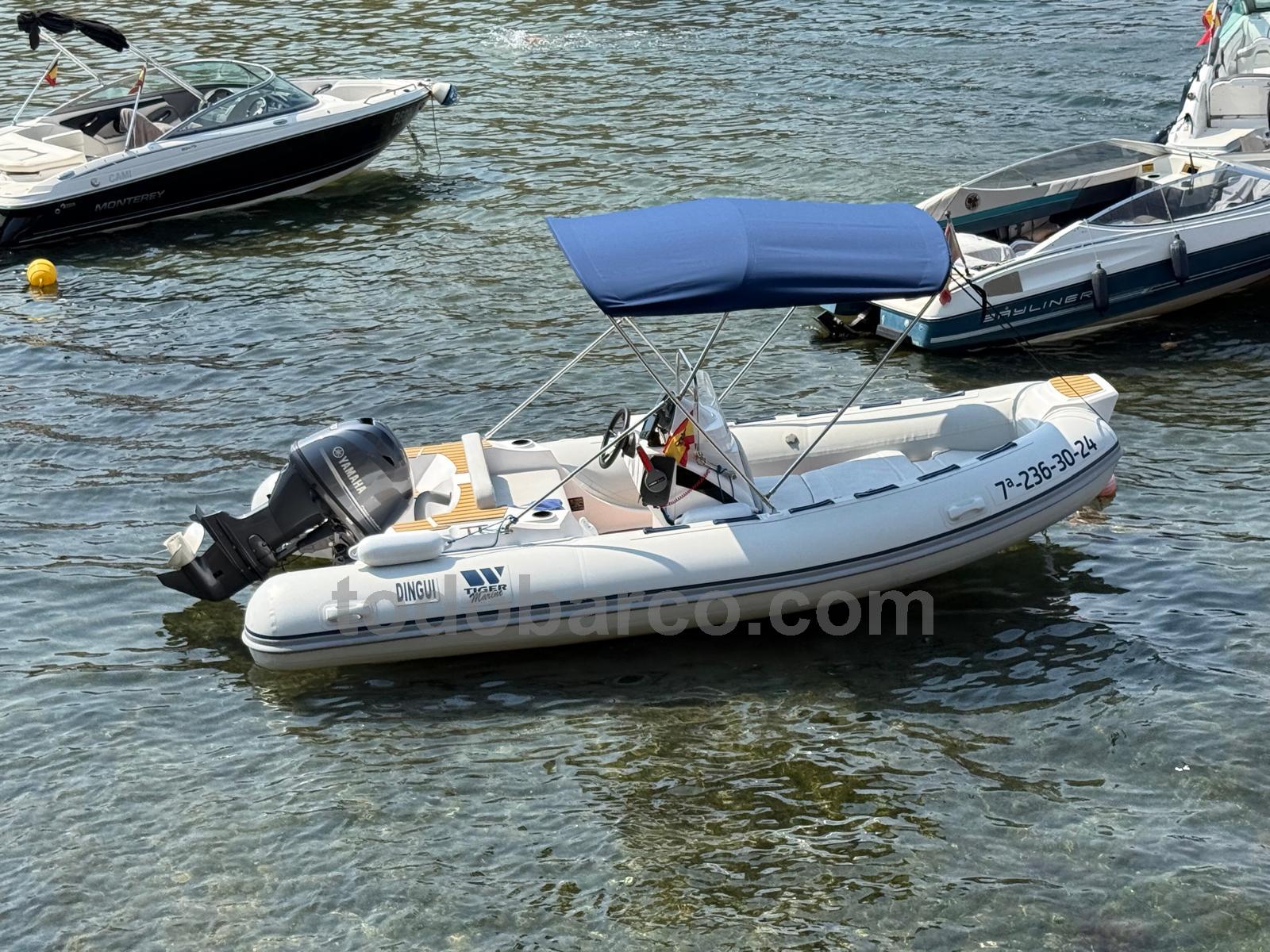 Tiger Marine