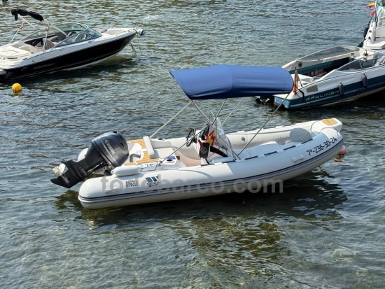 Tiger Marine 480 SL usata in vendita