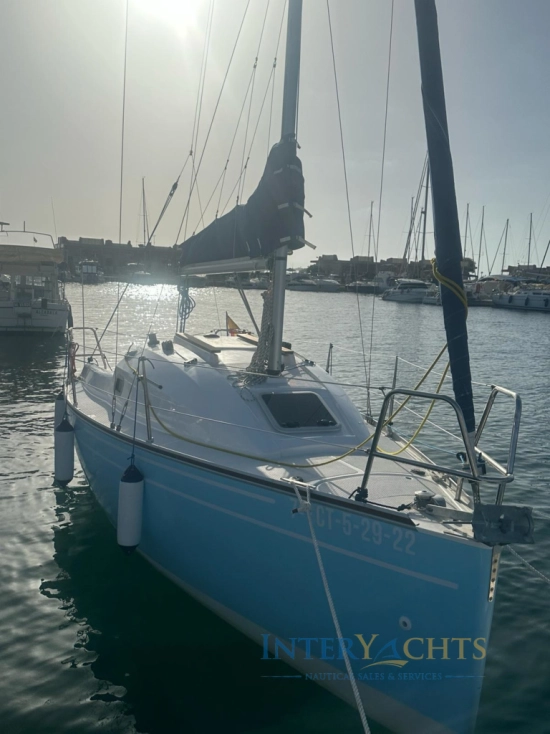 Dauphine 24 preowned for sale