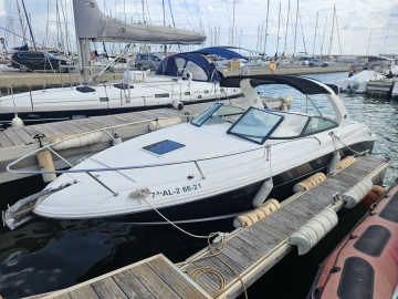 Sea Ray 290 Ss usata in vendita