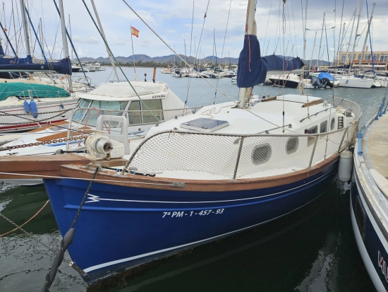 Myabca Delfin 31 usata in vendita