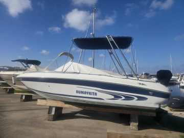 Sea Ray 190 BR usata in vendita