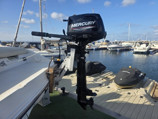 Sea Ray 190 BR usado à venda