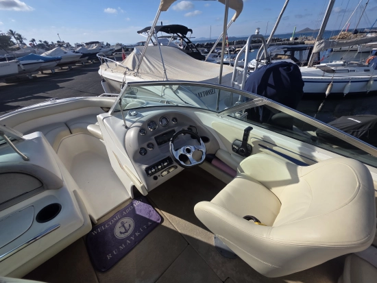 Sea Ray 190 BR usado à venda