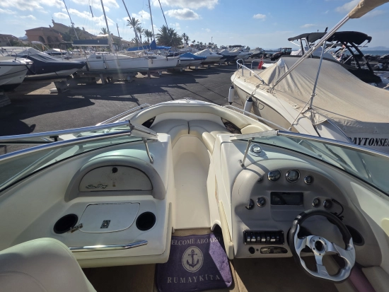 Sea Ray 190 BR usado à venda