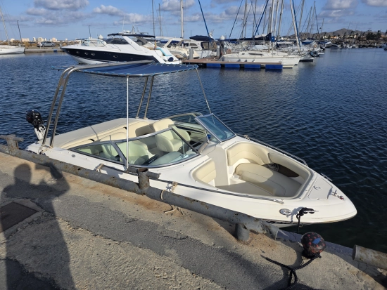 Sea Ray 190 BR usado à venda