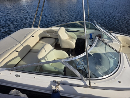 Sea Ray 190 BR usado à venda