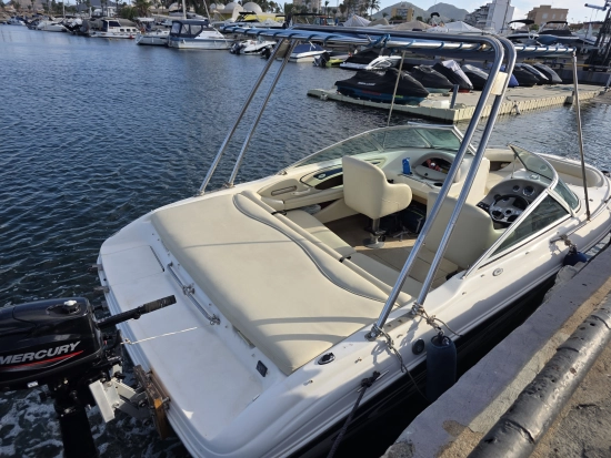 Sea Ray 190 BR usado à venda