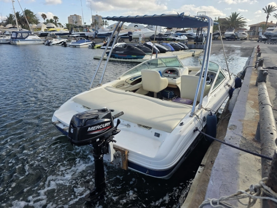 Sea Ray 190 BR usado à venda