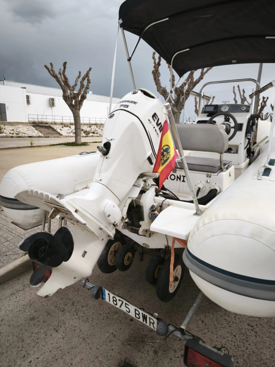 Tiger Marine 480 usado à venda