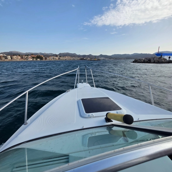 RO 195 SPORT usata in vendita