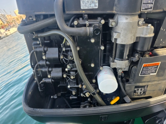 RO 195 SPORT usata in vendita
