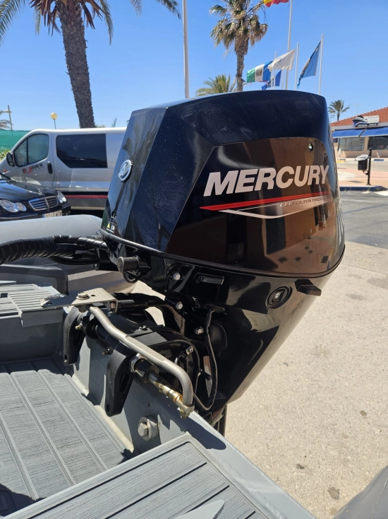3D Marine Tender 340 usado à venda