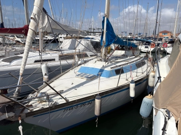 Taylor D 31 de segunda mano en venta