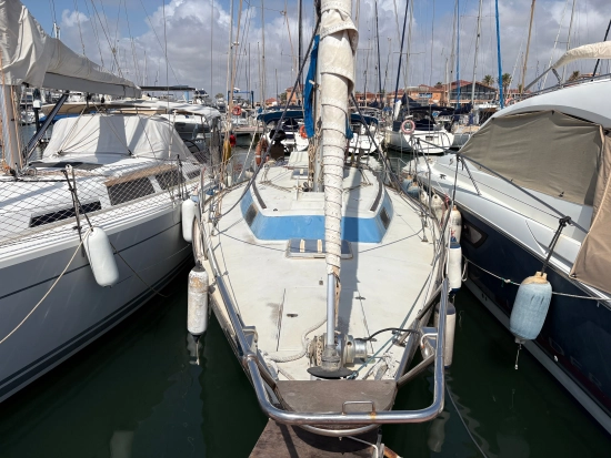 Taylor D 31 de segunda mano en venta