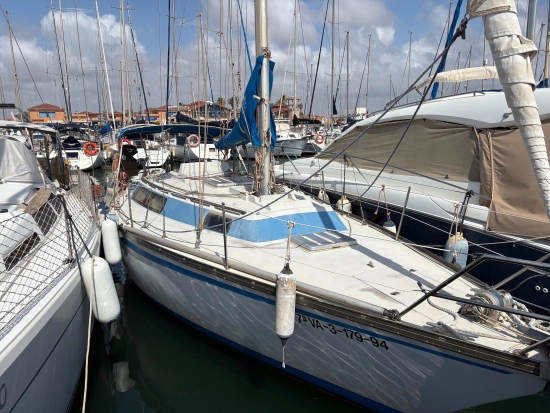 Taylor D 31 de segunda mano en venta