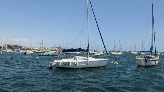 Serviola 23 de segunda mano en venta