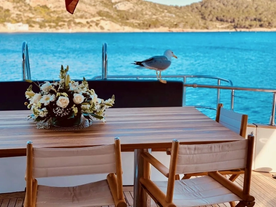 Eser Yacht Eser Yat Kotra Yap de segunda mano en venta