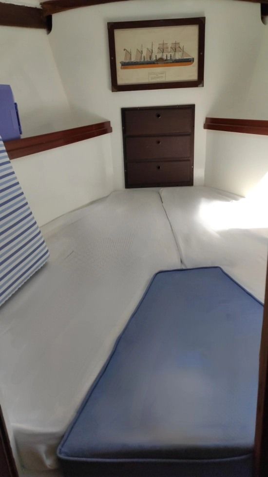 Playvisa Coronado 35 usata in vendita