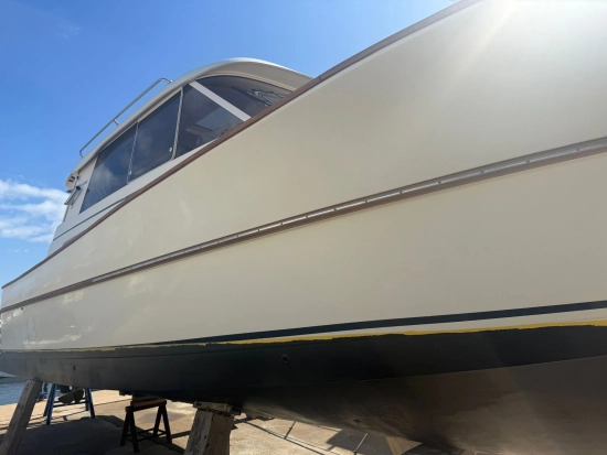 ACM ELITE 31 usado à venda