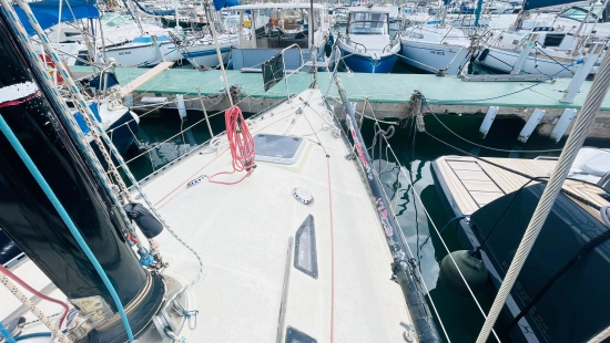 Baltic 31 usata in vendita