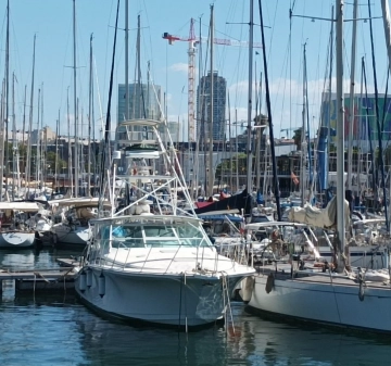 Cabo Yachts 45 Express usata in vendita