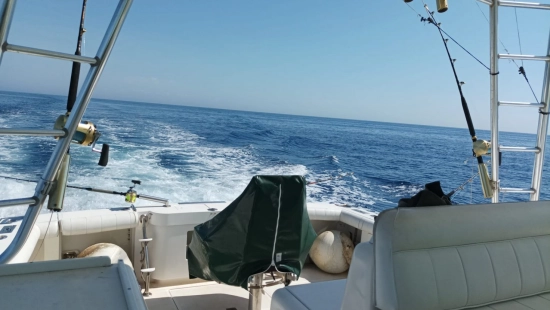 Cabo Yachts 45 Express de segunda mano en venta