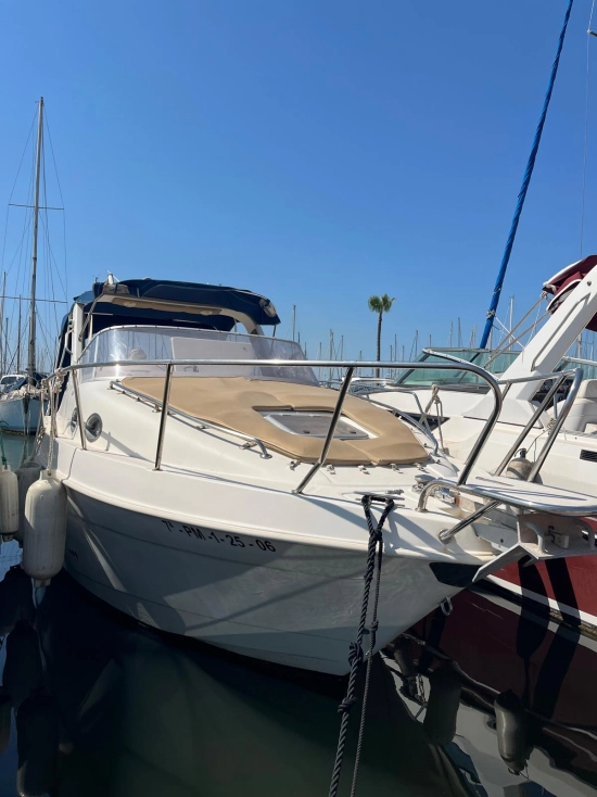 Saver Riviera 24 usata in vendita