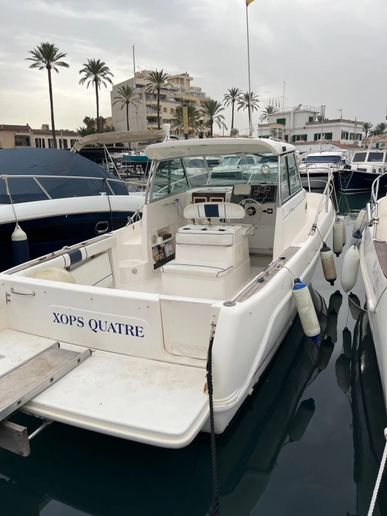 Faeton Moraga 780 de segunda mano en venta