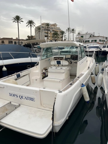 Faeton Moraga 780 de segunda mano en venta