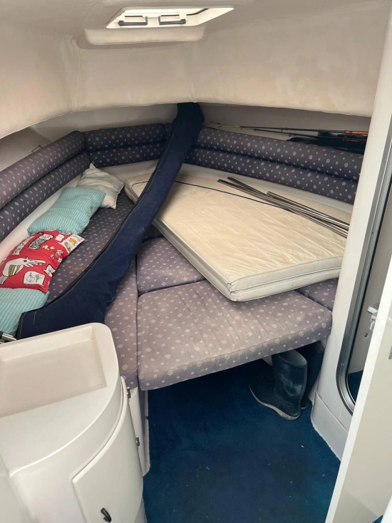 Faeton Moraga 780 de segunda mano en venta