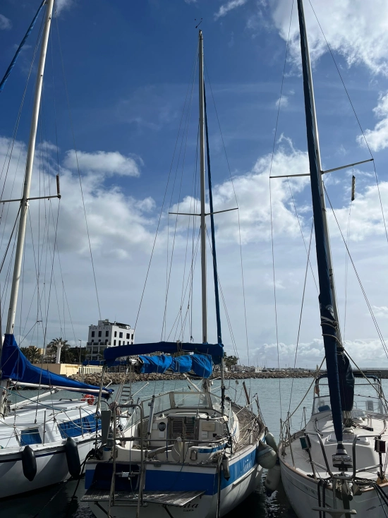 Hallberg Rassy 31 usata in vendita