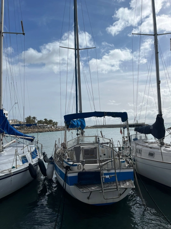 Hallberg Rassy 31 usata in vendita