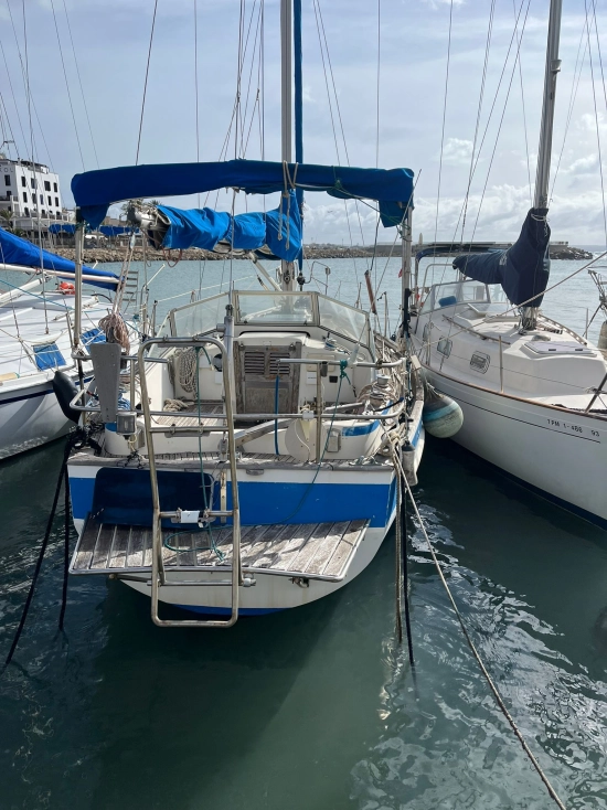Hallberg Rassy 31 usata in vendita
