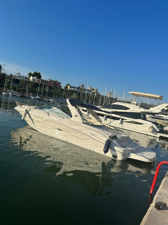 Sea Ray 290ss usado à venda