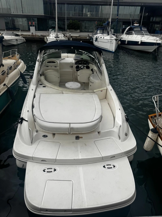 Sea Ray 290ss usado à venda