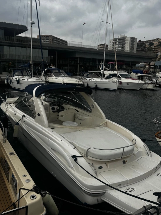 Sea Ray 290ss usado à venda