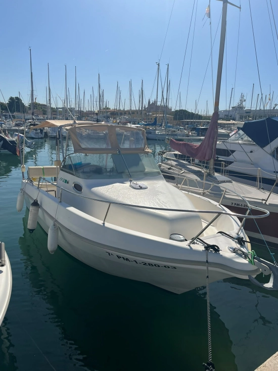 Mery Nautic 640 WALKAROUND usata in vendita