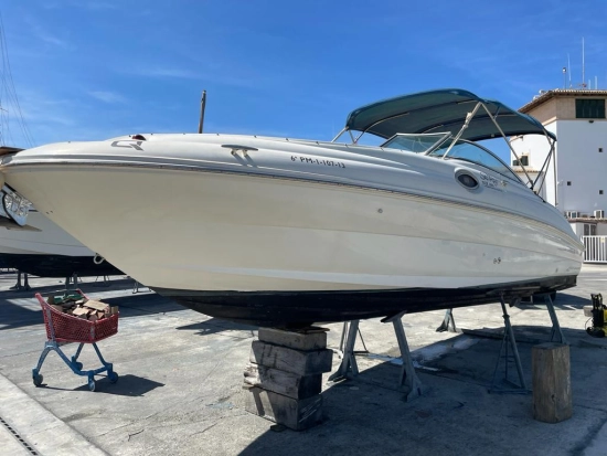 Sea Ray Sundeck 240 usado à venda